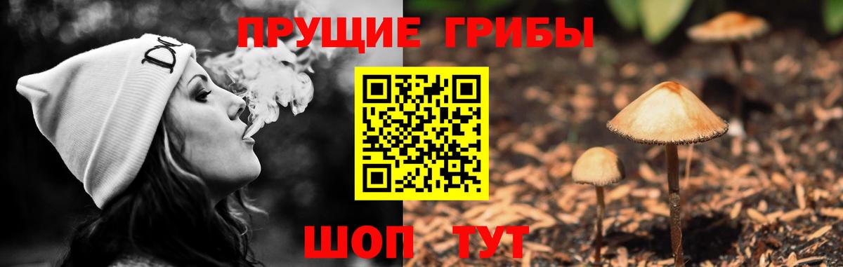 Псилоцибиновые грибы Magic Shrooms  Вход с VPN  Анапа 